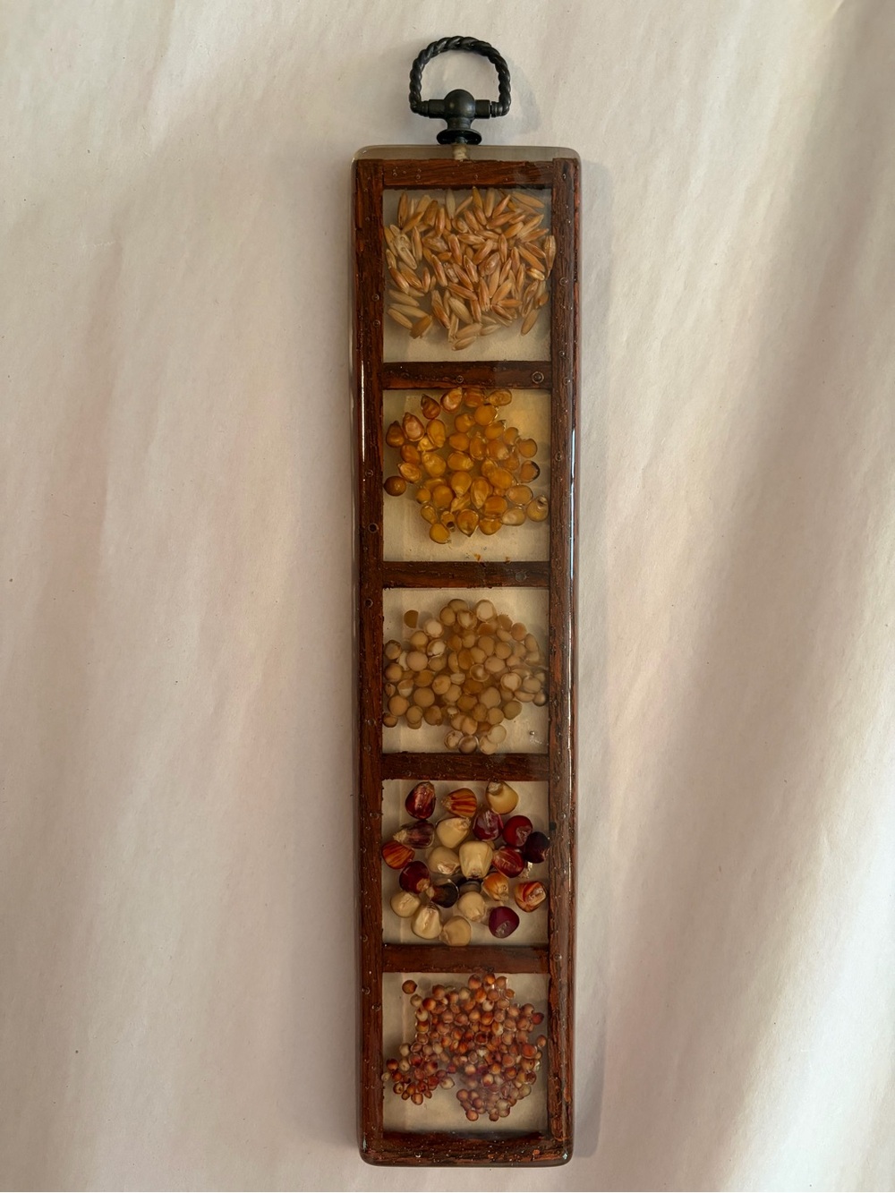 Vintage Gamut Designs Hanging Lucite, Wood & Natural Seed Display 13 1/8” Retro